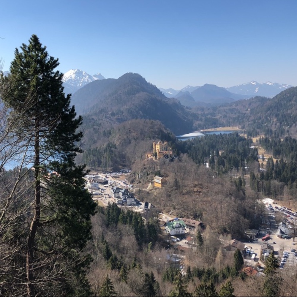 Meet your Posher, Liam